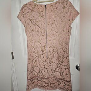 Calypso Lace Dress in Pink Champagne color, line size M